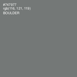 #747977 - Boulder Color Image