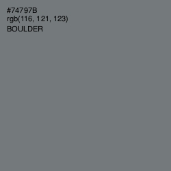 #74797B - Boulder Color Image