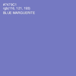 #7479C1 - Blue Marguerite Color Image