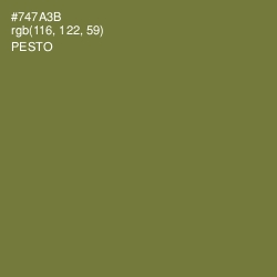 #747A3B - Pesto Color Image