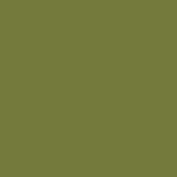 #747A3C - Pesto Color Image