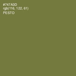 #747A3D - Pesto Color Image