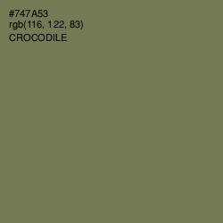 #747A53 - Crocodile Color Image