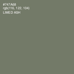 #747A68 - Limed Ash Color Image