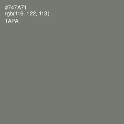 #747A71 - Tapa Color Image