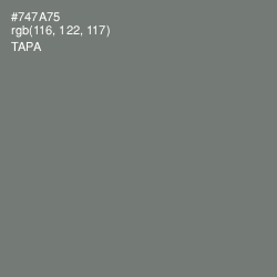 #747A75 - Tapa Color Image