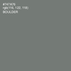 #747A76 - Boulder Color Image