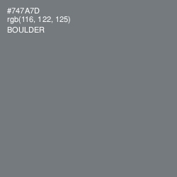 #747A7D - Boulder Color Image