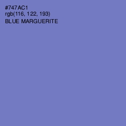 #747AC1 - Blue Marguerite Color Image