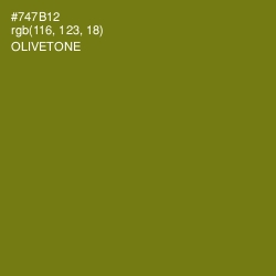 #747B12 - Olivetone Color Image