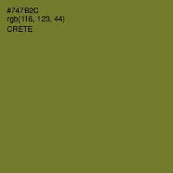 #747B2C - Crete Color Image