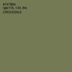 #747B54 - Crocodile Color Image