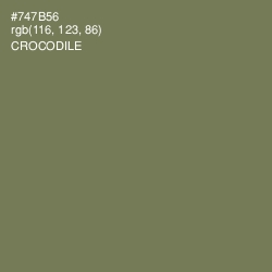 #747B56 - Crocodile Color Image