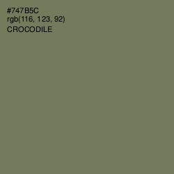 #747B5C - Crocodile Color Image