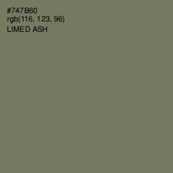 #747B60 - Limed Ash Color Image