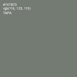 #747B73 - Tapa Color Image