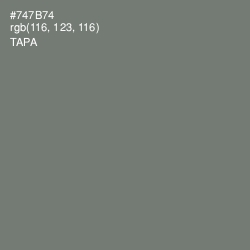 #747B74 - Tapa Color Image