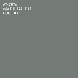 #747B76 - Boulder Color Image