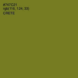 #747C21 - Crete Color Image