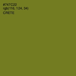 #747C22 - Crete Color Image