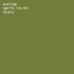 #747C3B - Pesto Color Image