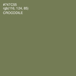 #747C55 - Crocodile Color Image