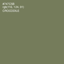 #747C5B - Crocodile Color Image