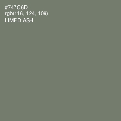 #747C6D - Limed Ash Color Image