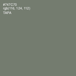 #747C70 - Tapa Color Image