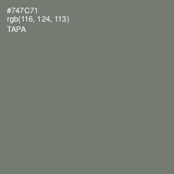 #747C71 - Tapa Color Image