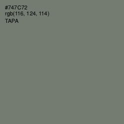 #747C72 - Tapa Color Image