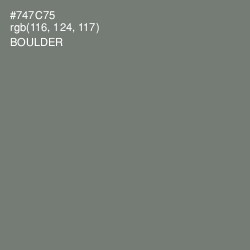 #747C75 - Boulder Color Image