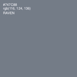 #747C88 - Raven Color Image