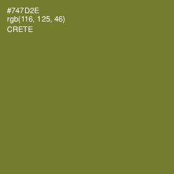 #747D2E - Crete Color Image