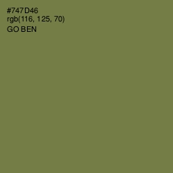 #747D46 - Go Ben Color Image