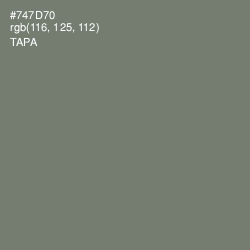 #747D70 - Tapa Color Image