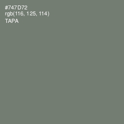 #747D72 - Tapa Color Image