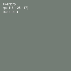 #747D75 - Boulder Color Image