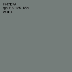 #747D7A - Boulder Color Image