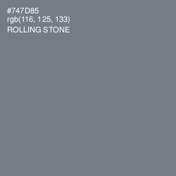 #747D85 - Rolling Stone Color Image