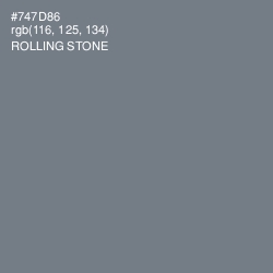 #747D86 - Rolling Stone Color Image
