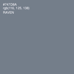 #747D8A - Raven Color Image