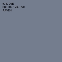 #747D8E - Raven Color Image