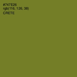 #747E26 - Crete Color Image