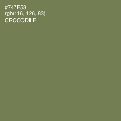 #747E53 - Crocodile Color Image