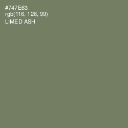 #747E63 - Limed Ash Color Image