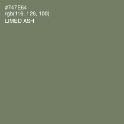 #747E64 - Limed Ash Color Image
