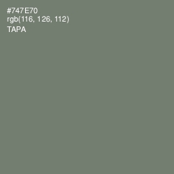 #747E70 - Tapa Color Image