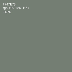 #747E73 - Tapa Color Image