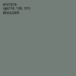 #747E79 - Boulder Color Image